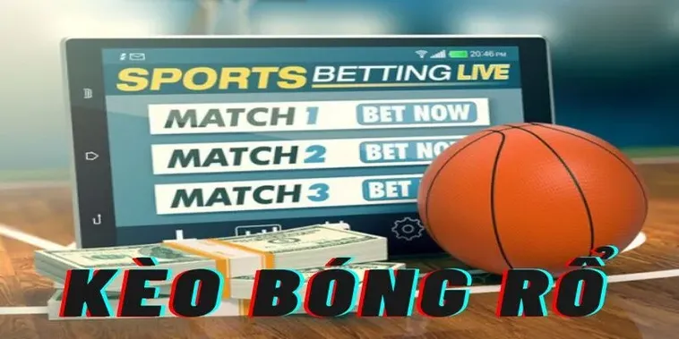 Cá Cược Bóng Rổ 8xBet Thắng Lớn Với Chiến Lược Chuẩn 2025 2 Cá Cược Bóng Rổ 8xBet Thắng Lớn Với Chiến Lược Chuẩn 2025