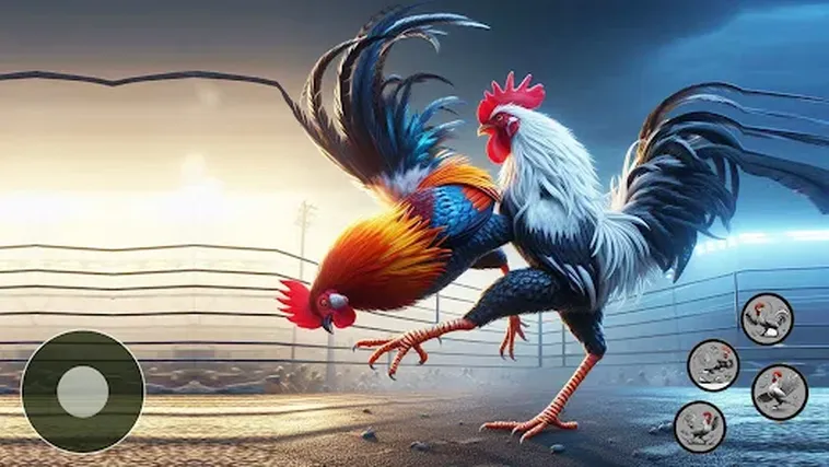 Bí Quyết Thắng Lớn Với Đá Gà 3D Tại 8xBet Hấp Dẫn